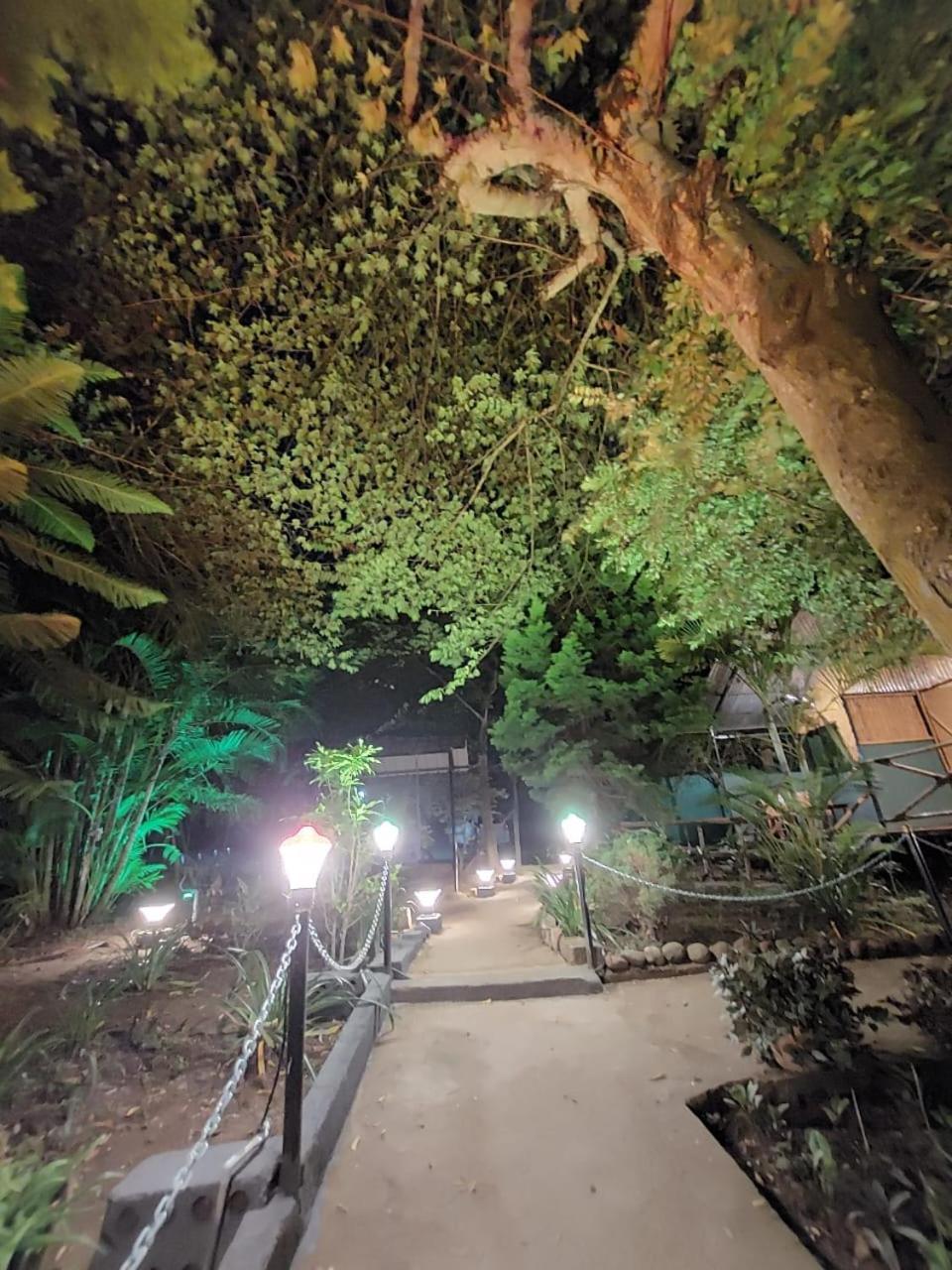 Green Hills Farm And Guest House Masinagudi Exterior foto